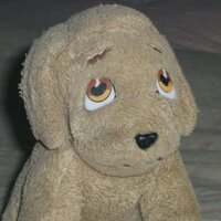 Shell (@shellywrites) 's Twitter Profile