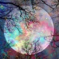 Zuhal (@elacoskunzuhal) Twitter profile photo