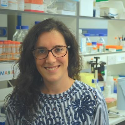🇵Postdoc @RIMLS_Science. Using iPSCs to understand and find treatments for 👁 diseases.Currently focusing on #aniridia and all things PAX6. Previously @UCLeye.