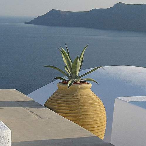 katiehauck's profile picture. 