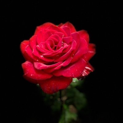 its_4_margaret's profile picture. I can be scared and carry on...