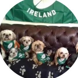 Hi Folks,Our main community is over on Facebook . Shih Tzu Ireland . No Selling or Buying activity allowed.