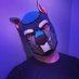 Support Pup Cooper (@support_cooper) Twitter profile photo Support Pup Cooper (@support_cooper) Twitter profile photo