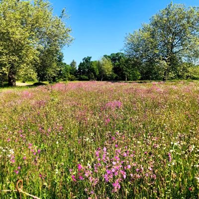 RachelYang1988's profile picture. 