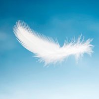 Linor 🇮🇱 (@linorv1) 's Twitter Profile