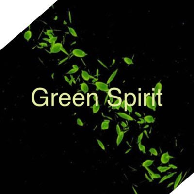 EcoGreenSpirit Profile Picture