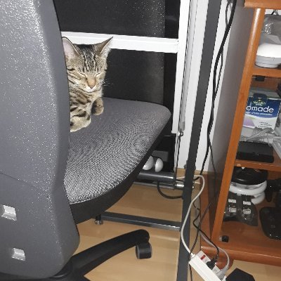 alexcoucou76 Profile Picture