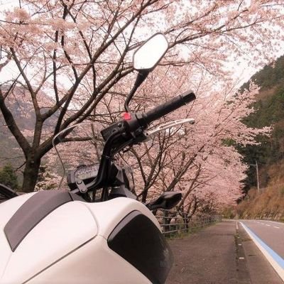 うすしおさんのプロフィール画像