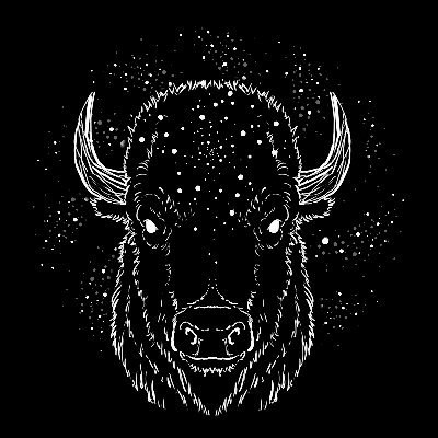 Solana bulls (buffalos) & rock band from Los Angeles. New song streaming on all major platforms.