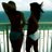SGreen37104's profile image