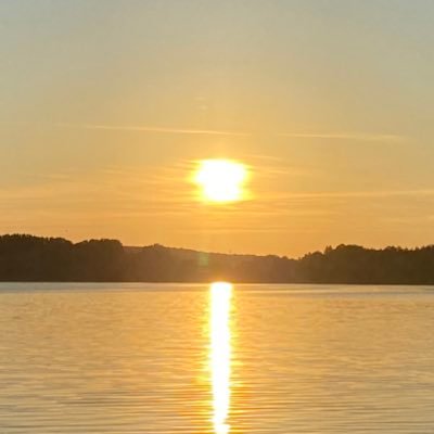 keira_knz's profile picture. singularity