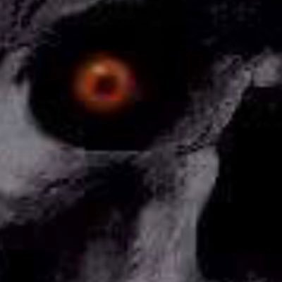 T51Tm's profile picture. 