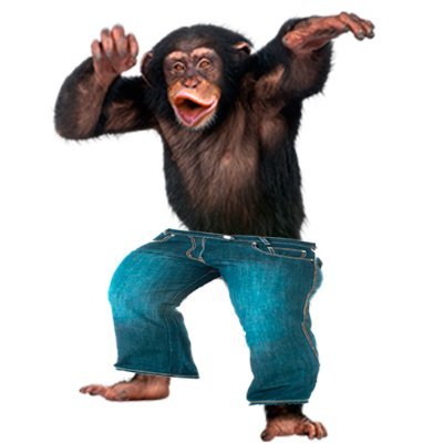 Oogthemonkey's profile picture. so much swag. unironic skylanders fan. The lions would win. I have way too many hours on TBOI.