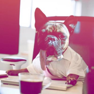 RagnarThePuppo's profile picture. Click the link to get amazing deals on new products!