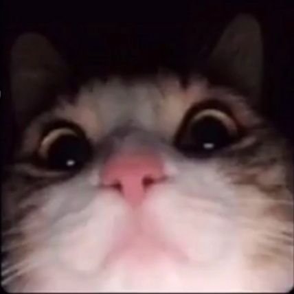 gabutz43346505's profile picture. sundanese