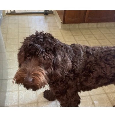 Naomi03039969's profile picture. 