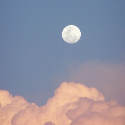 ___x012o's profile picture. 05 ku 🇨🇳