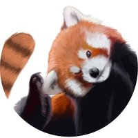 Ailurus Bio (@ailurusbio) 's Twitter Profile