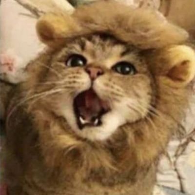 berryblue_levi's profile picture. 𝚑𝚎𝚕𝚕𝚘