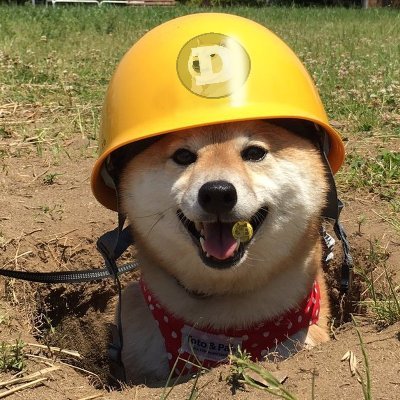 2nnsi's profile picture. 