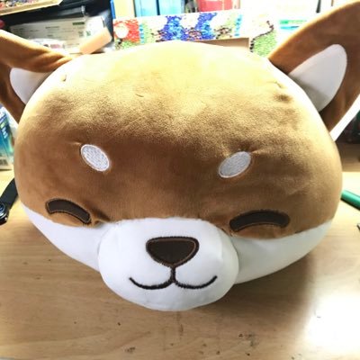 chuangtim2's profile picture. hello~~