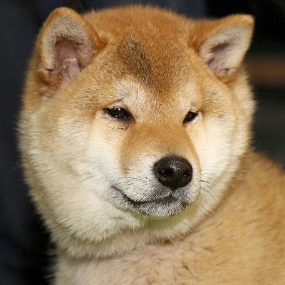 Unknown_Dev_'s profile picture. ...