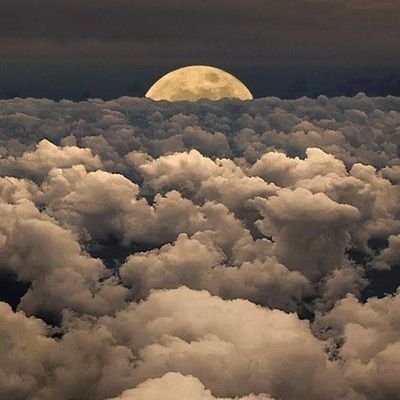 Unknown78850542's profile picture. Unknown