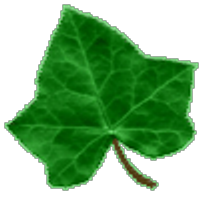 Ivy Grove Surgery (@ivygrovesurgery) 's Twitter Profile Photo