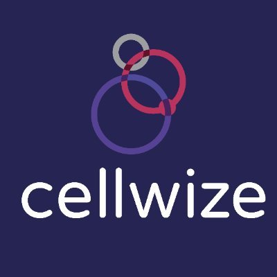 Cellwize develops innovative mobile network automation and orchestration solutions.