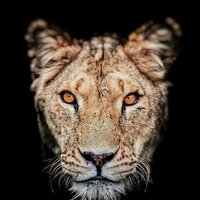 Jashlok Garanayak (@jashlokg) 's Twitter Profile