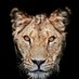 Jashlok Garanayak (@jashlokg) Twitter profile photo Jashlok Garanayak (@jashlokg) Twitter profile photo
