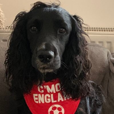 zivva's profile picture. 