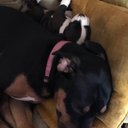 Kaleb Martinez - @KalebMa14133513 - Twitter