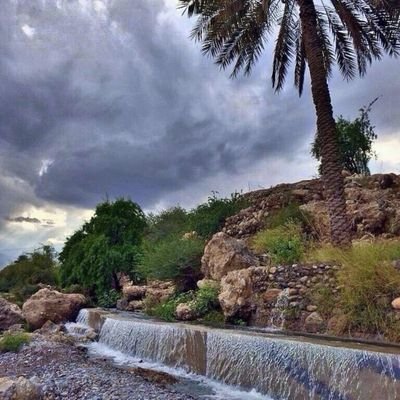 rafd3000's profile picture. 