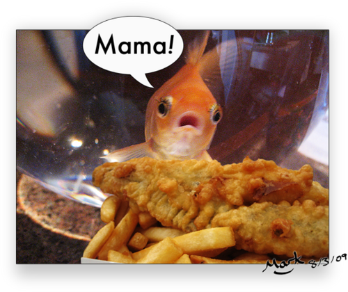 Serving Fish Gone Wild Wed-Sat 10:30am-sun set