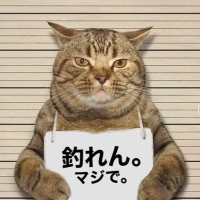 【REPRESENT OKINAWA】 https://t.co/L5KG81hr7Q 【TOALVA】 https://t.co/wm7AP4E4mQ 釣り大好きだけど全然釣れん症候群発症中。デザインとかします。(釣りメインにアカウント作り直しました。無言フォローごめんなさい。)