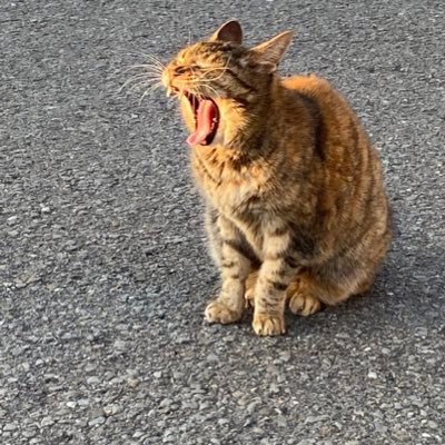 takukob1024's profile picture. 