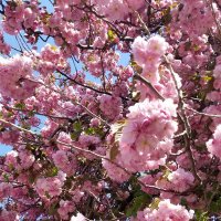 Jen | CoinOfStone (@coinofstone) 's Twitter Profile Photo