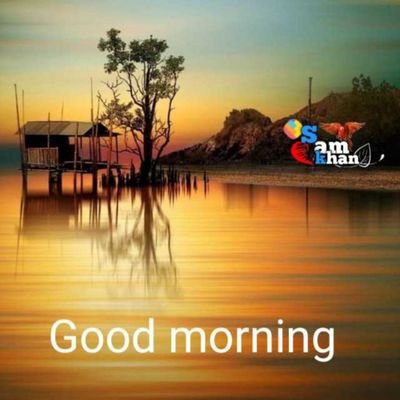 BipinKu77257561's profile picture. Self employed