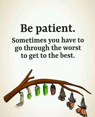 Internist, Pleased by #Bible & Bible of Medicine.