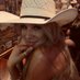 Tay (@taylaaarenee) Twitter profile photo Tay (@taylaaarenee) Twitter profile photo
