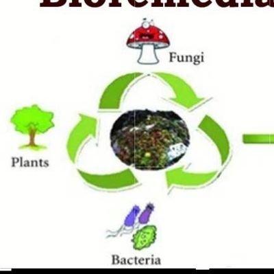 Connecting researchers focused on bioremediation, biomining and bioresource management for networking, collaboration and knowledge sharing