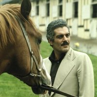 سلطان (@sultanvic3) 's Twitter Profile