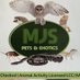 MJS Pets & Exotics (@mjspets) Twitter profile photo MJS Pets & Exotics (@mjspets) Twitter profile photo