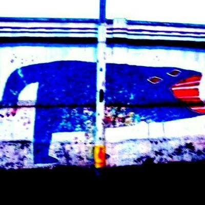 NiudaoDeDanjian's profile picture. Et sceleratis sol oritur.