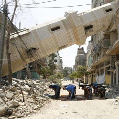 Danyal_k94's profile picture. 