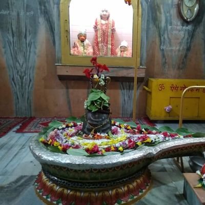 PPlacementcell's profile picture. Placement assistant at Punjabi University Patiala