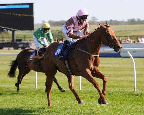 Mike11Mand's profile picture. LFC Fan. 1 club. 1 wife. 2 kids ... Insurance Director ... In that order. Opinions are my own only....