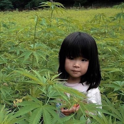 Kamikaz00960617's profile picture. Nqs e sheh ket bio dhe nuk kthen follow je djal/vajz e keqe 🤣🤣