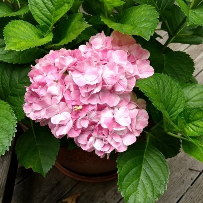 GladysJ99127212's profile picture. Retired RNC